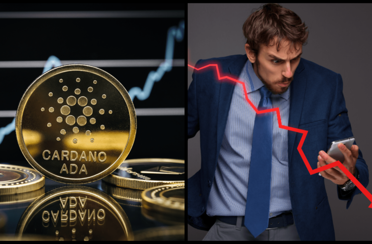 Hrozí ekosystému Cardano prepad?