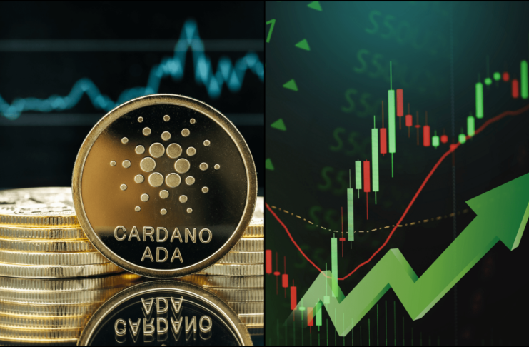 Cardano sa chystá na nový update