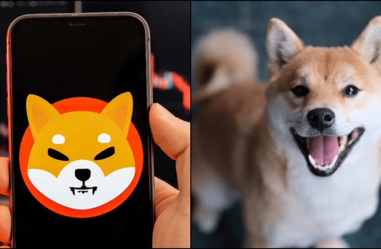 Kryptomenám dominuje shiba inu.