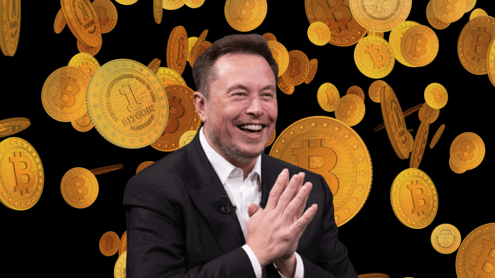 Elon Musk môže ovládnuť stablecoiny.