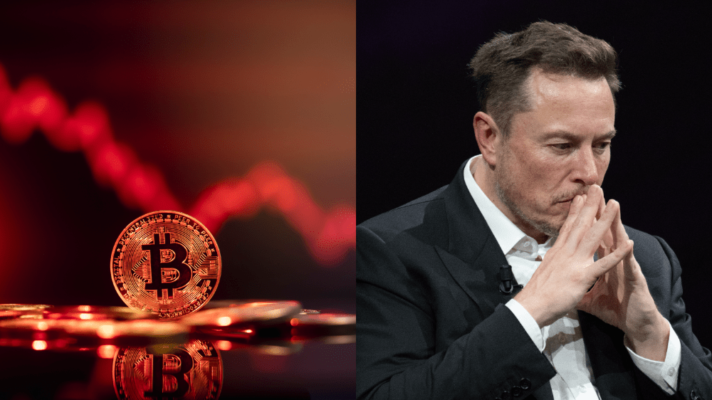 Za pádom bitcoinu môže Elon Musk