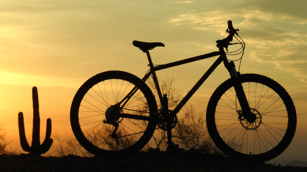 Bankrot Kaktus Bike