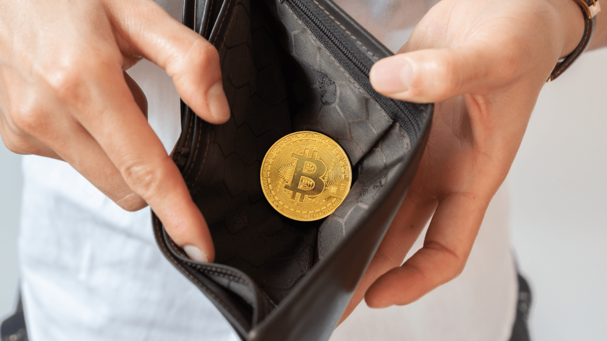 Aká je šanca vlastniť 1 Bitcoin